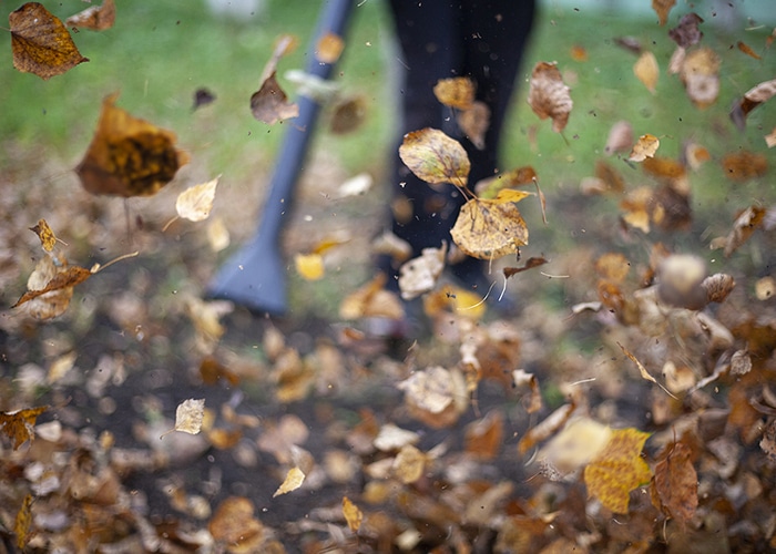 Fall Lawn Clean Up Fishers IN