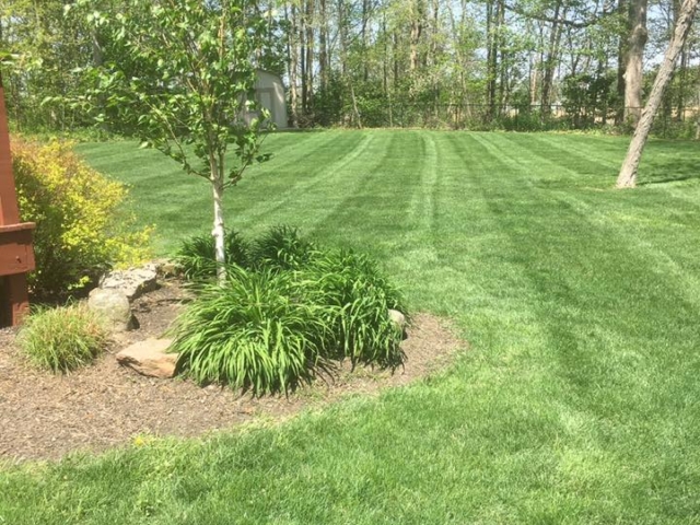 Mowing Service in Fishers Indiana