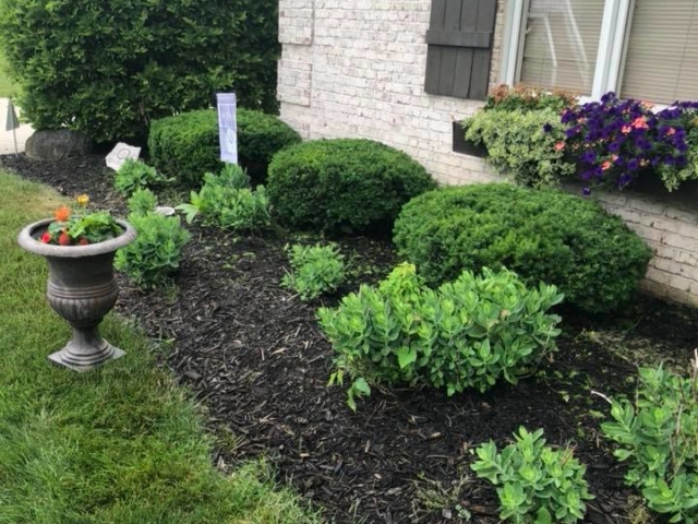 Mulch Installation in Fishers Indiana