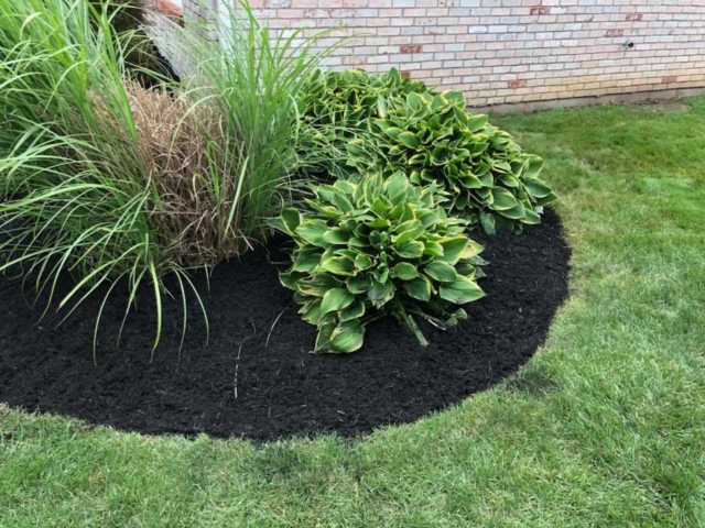Mulch Installation Service in Fishers Indiana