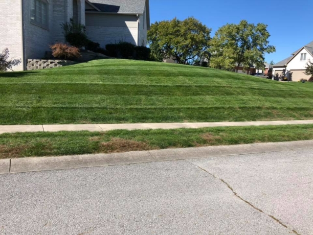 Lawn Aeration Service in Fishers Indiana