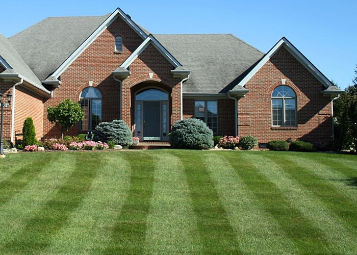 Lawn Care Services